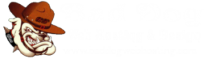 Bad Dog Webhosting
